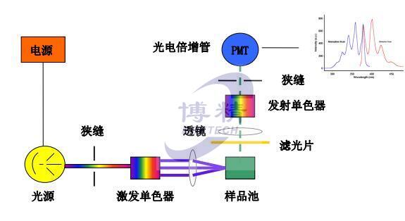 分子熒光結(jié)構(gòu)圖-博精科技
